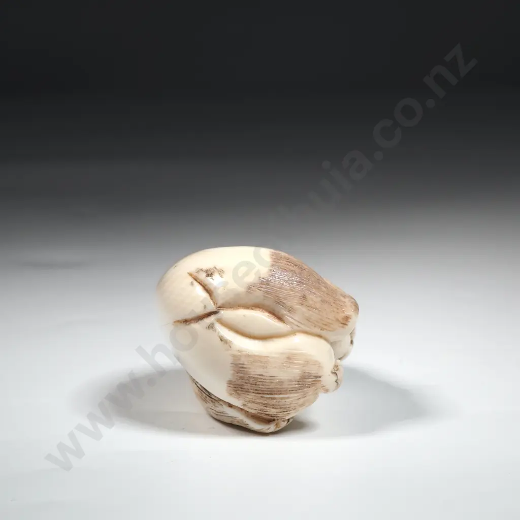 Ivory Okimono Of A Panda Eating Bamboo Shoots Image 1++