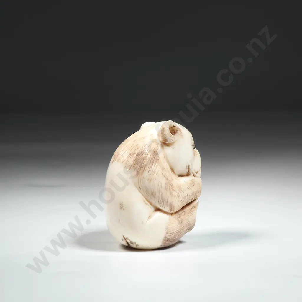 Ivory Okimono Of A Panda Eating Bamboo Shoots Image 1++