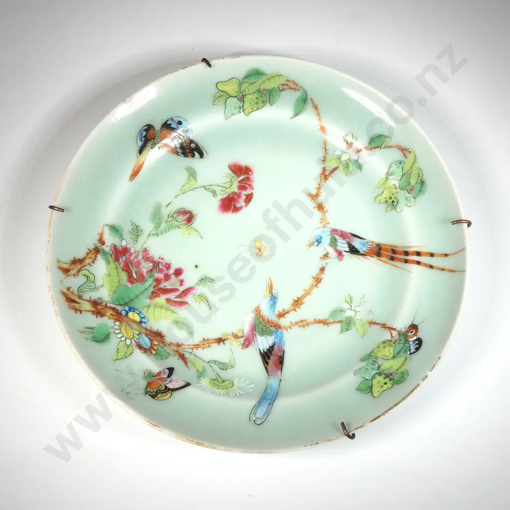 Antique Chinese Porcelain Famille Rose Celadon Floral Bird Butterfly Plate Image 1++