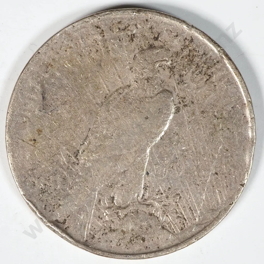 1924 United States of America Liberty One Dollar Coin (Poor Condition) Image 1++