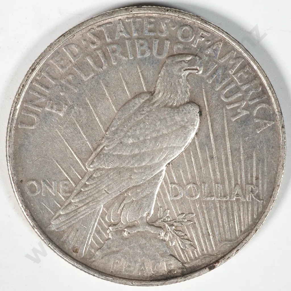 1924 United States of America Liberty One Dollar Coin  Image 1++