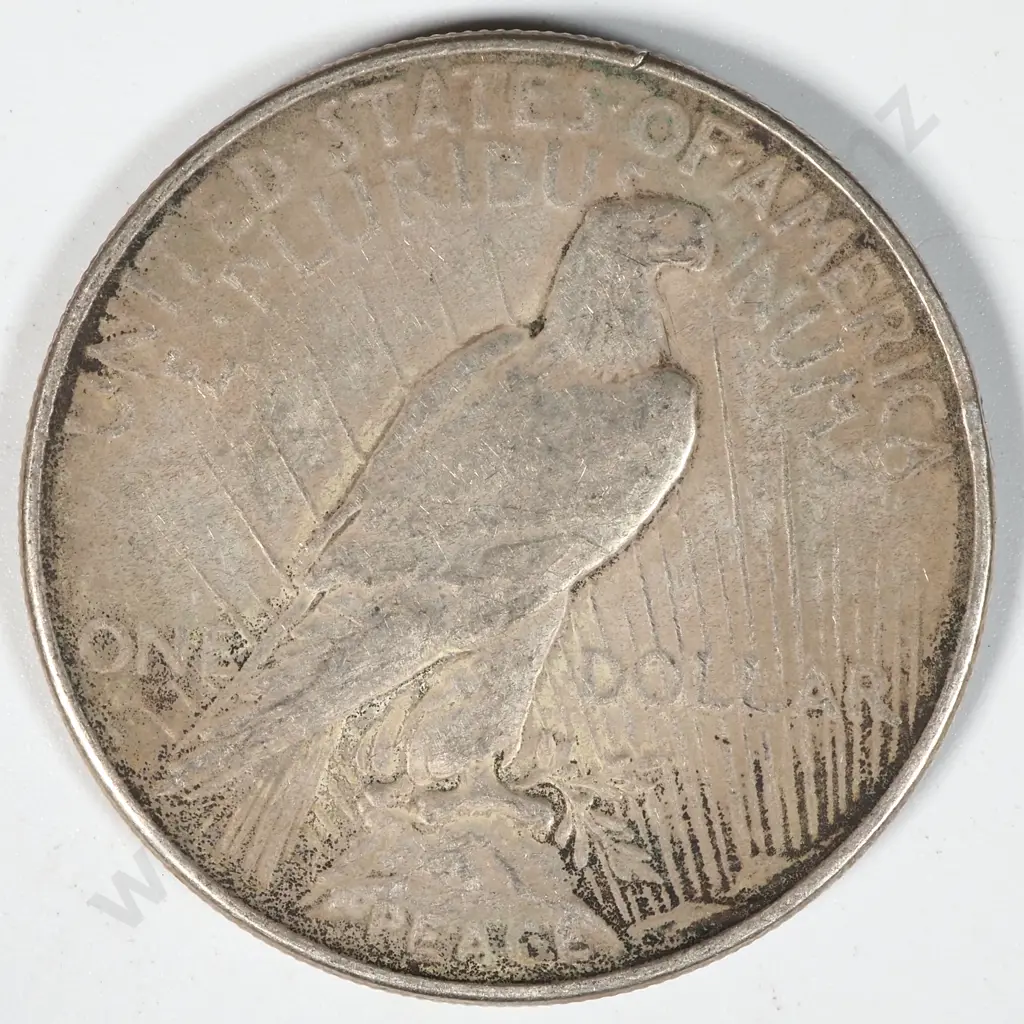 1934 United States of America Liberty Dollar Image 1++