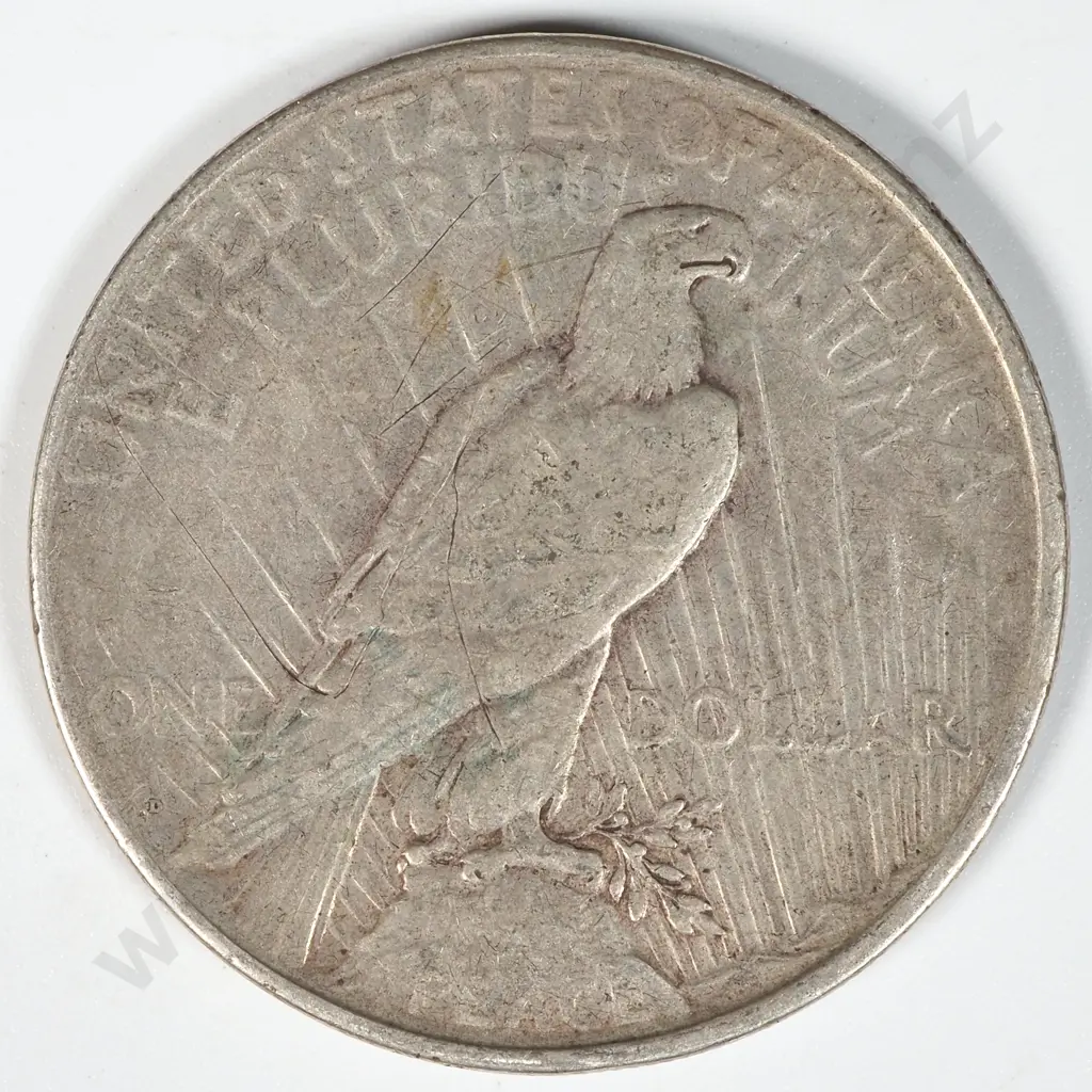 1926 United States of America Liberty Dollar Image 1++