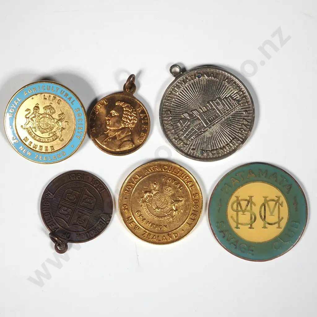 Assorted New Zealand Vintage Badges & Tokens  Image 1++