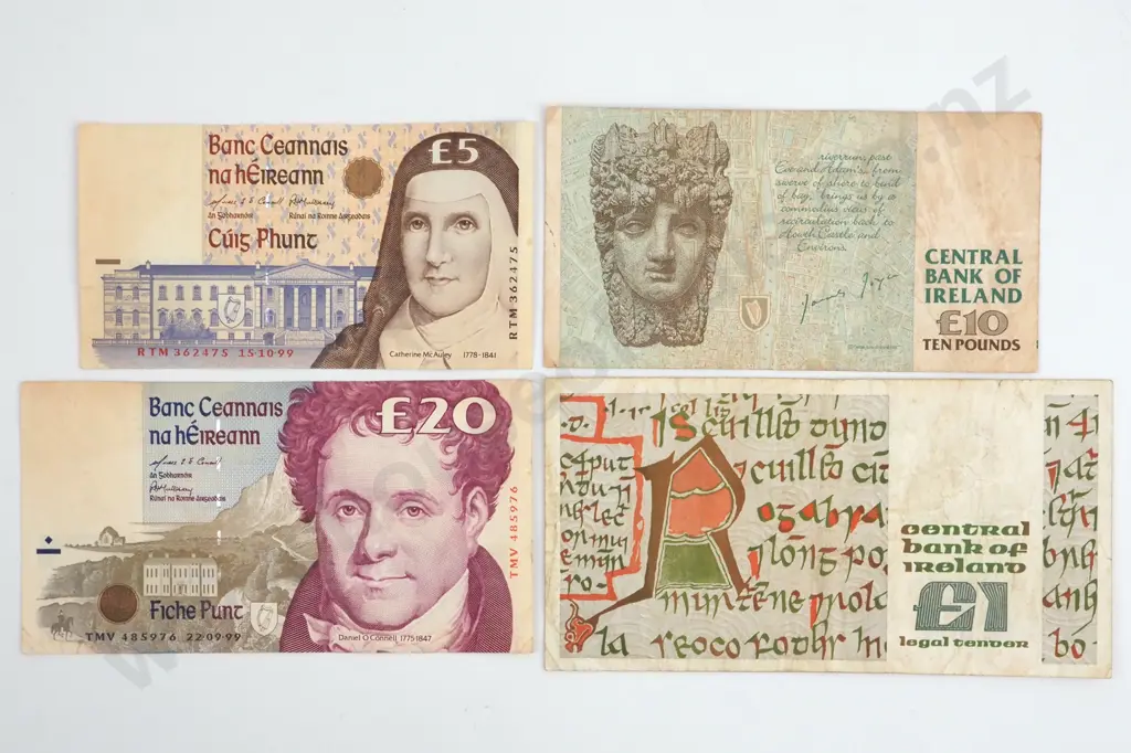 Assorted Irish Banknotes  Image 1++
