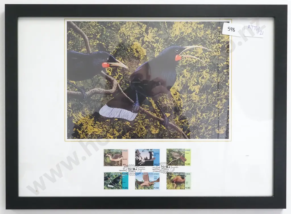 Framed Huia Print w Birds of New Zealand Stamps  Image 1++