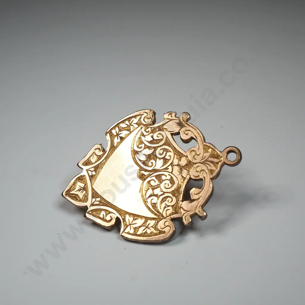 Gold Filled Not Engraved Token Image 1++