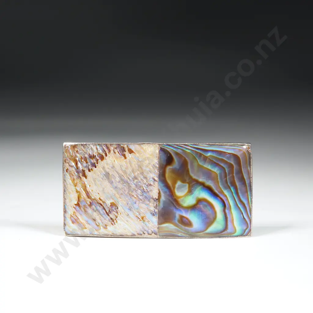 Unusual Paua Shell Brooch Image 1++