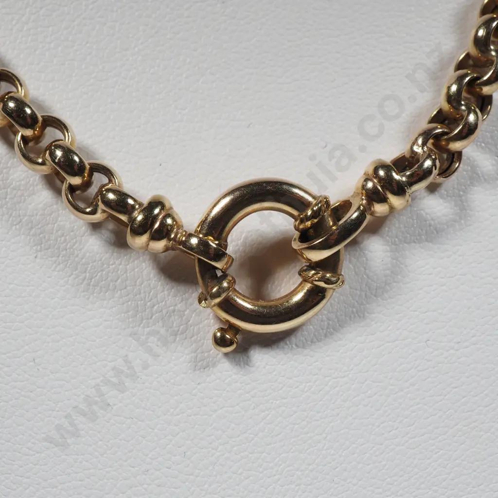 9ct Gold Belcher Link Necklace Image 1++