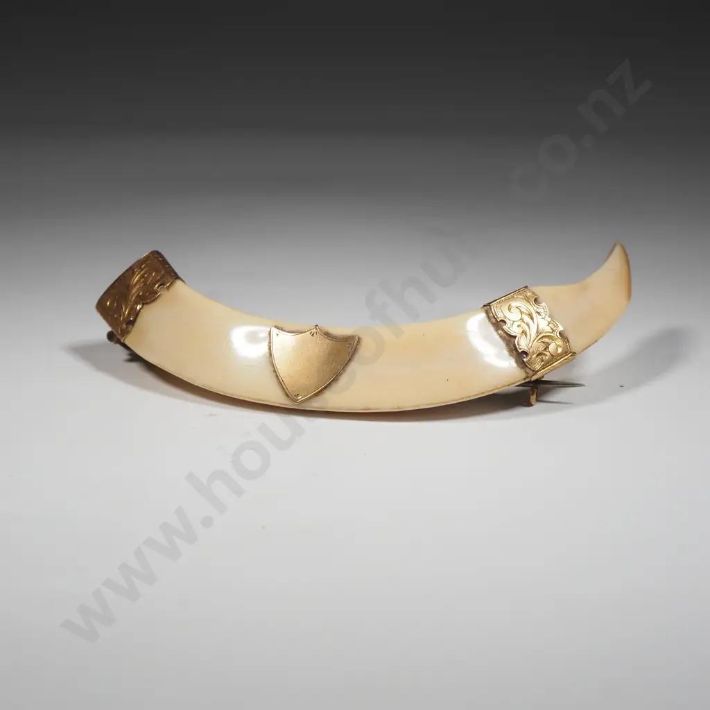 Large Antique 9ct Gold Mounted Colonial Boer Tusk Brooch  Image 1++