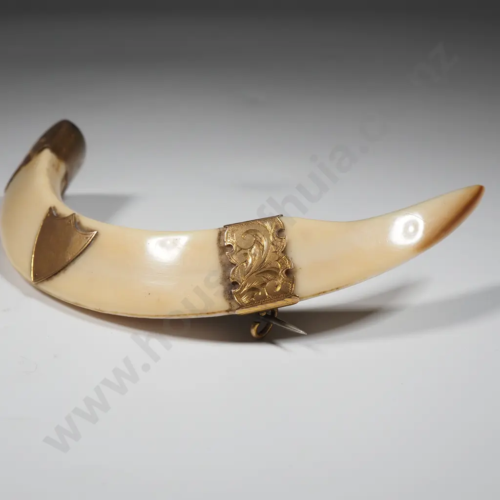 Large Antique 9ct Gold Mounted Colonial Boer Tusk Brooch  Image 1++