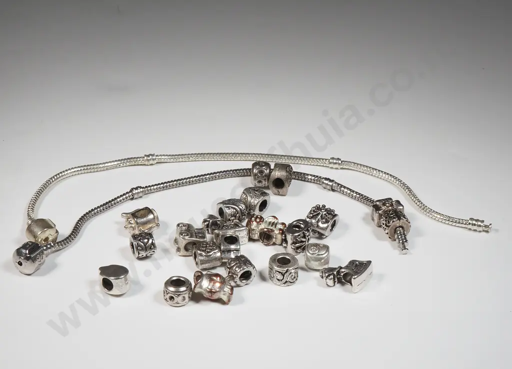 Collection Of Pandora Like Charms & Two Bracelet Image 1++