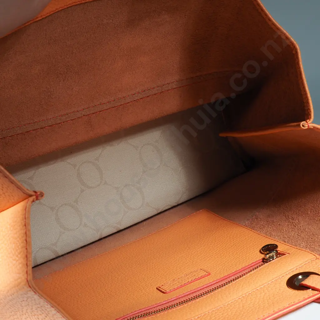 OROTON Entourage Tote Bag in Orange Image 1++