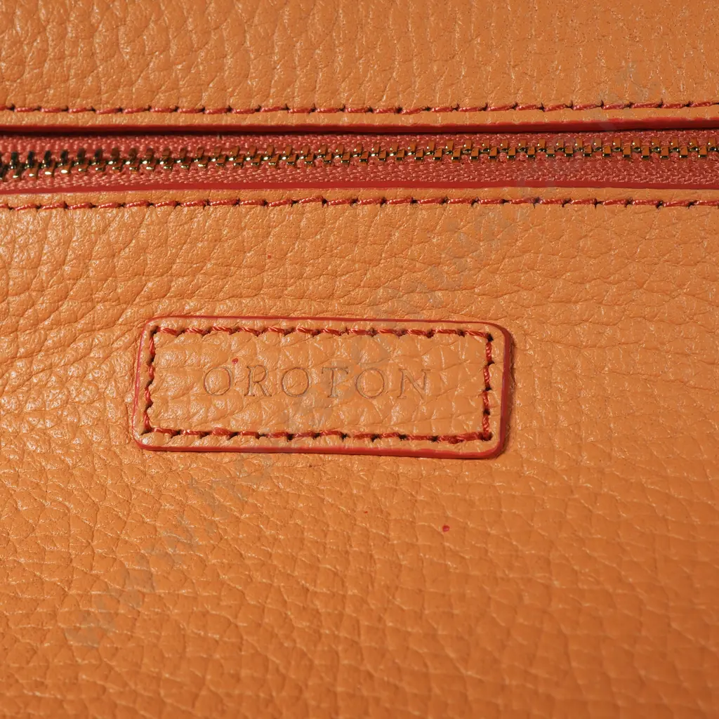 OROTON Entourage Tote Bag in Orange Image 1++