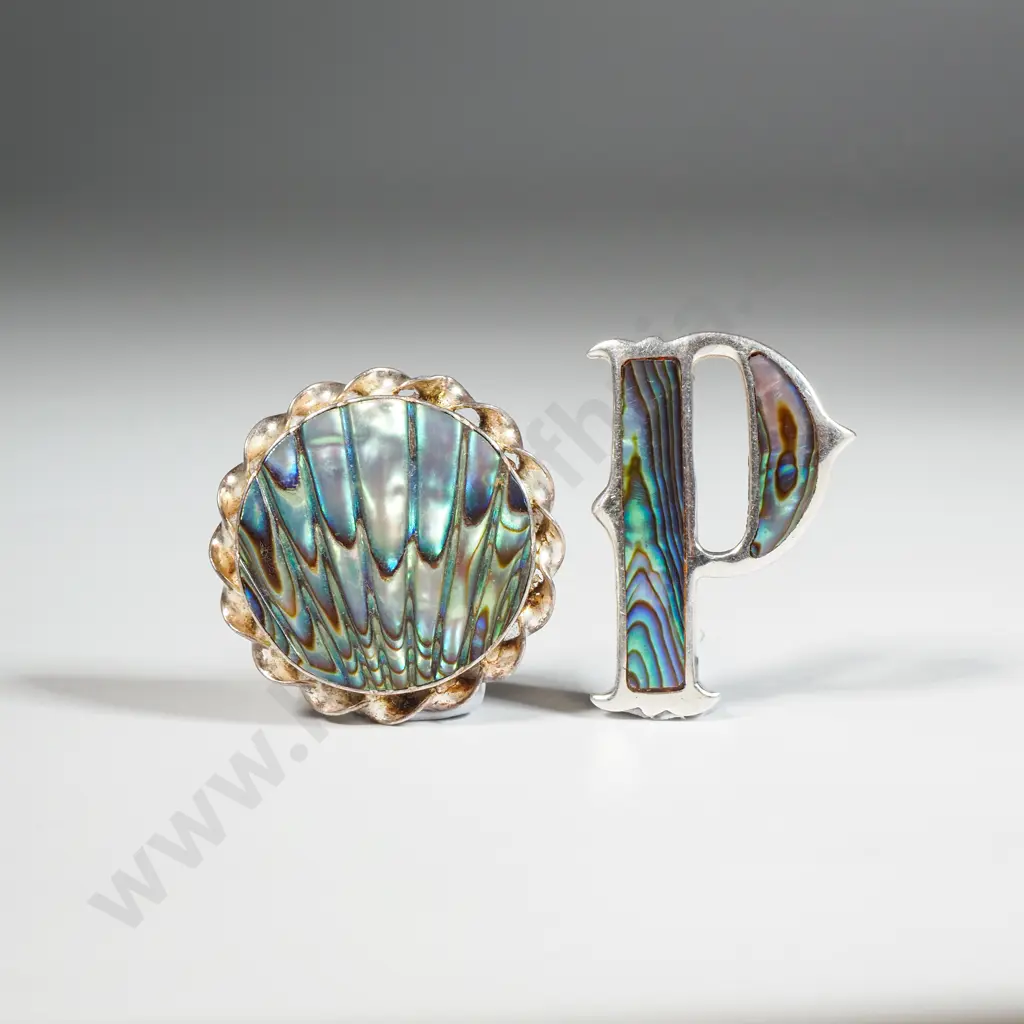 Two Sterling Silver Paua Brooches Image 1++