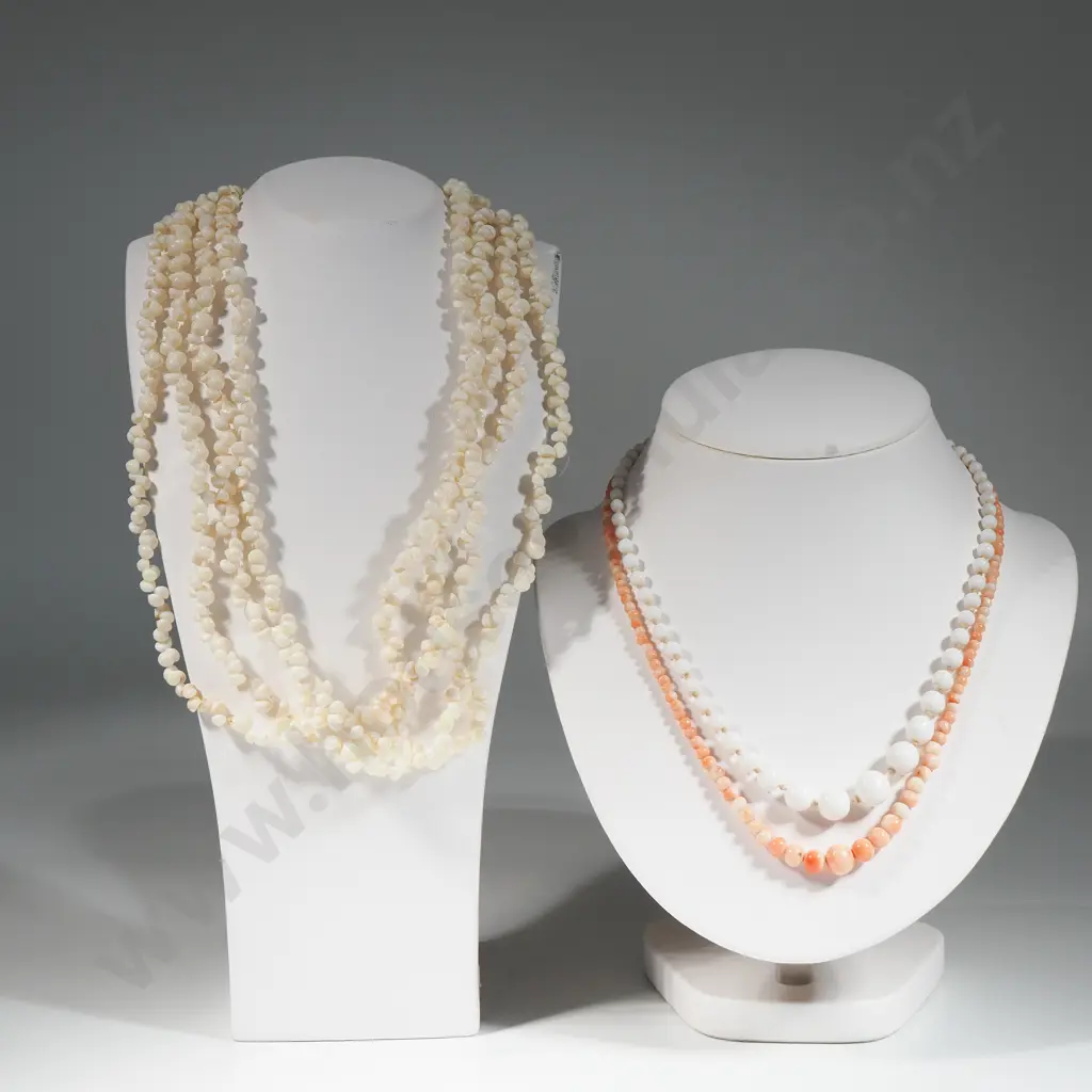 Assorted Shell Necklaces  Image 1++