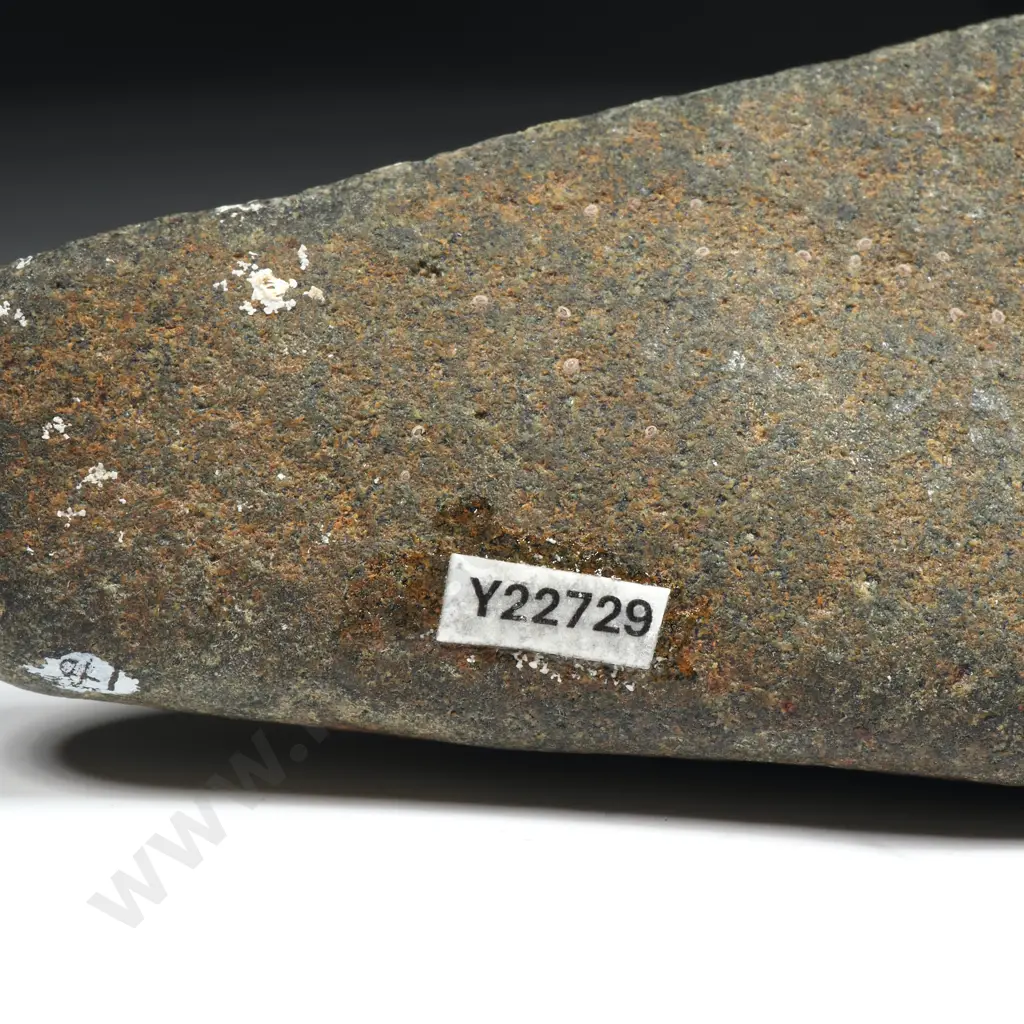 Pre-European Stone Toki - Y22729 Image 1++