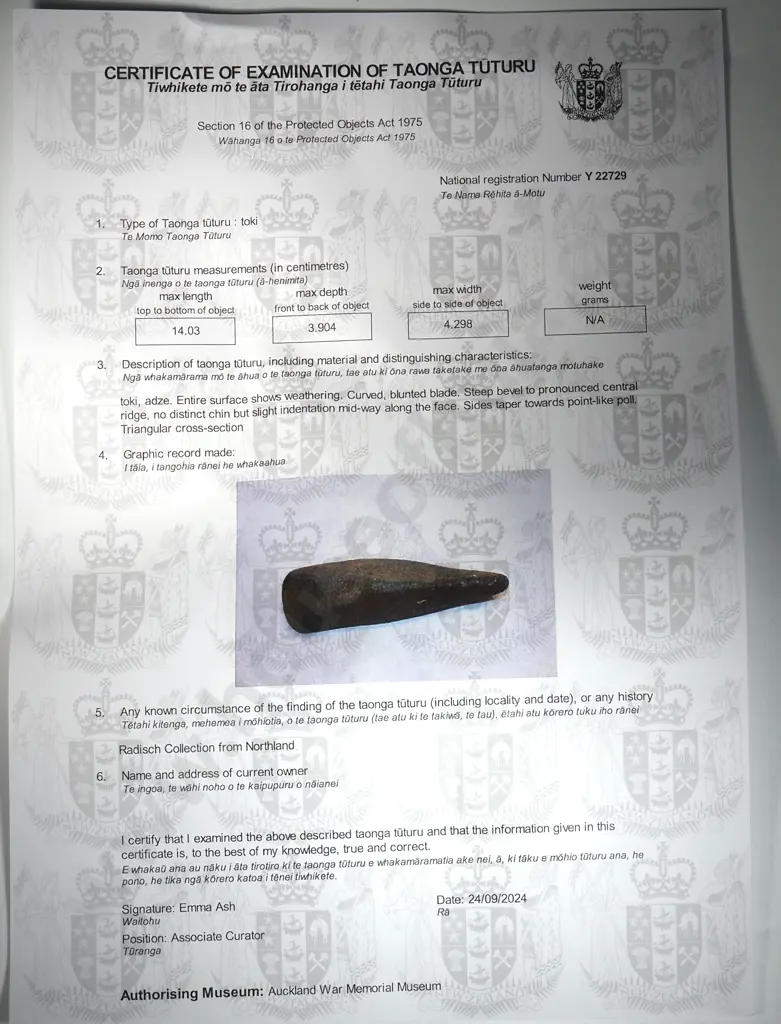 Pre-European Stone Toki - Y22729 Image 1++