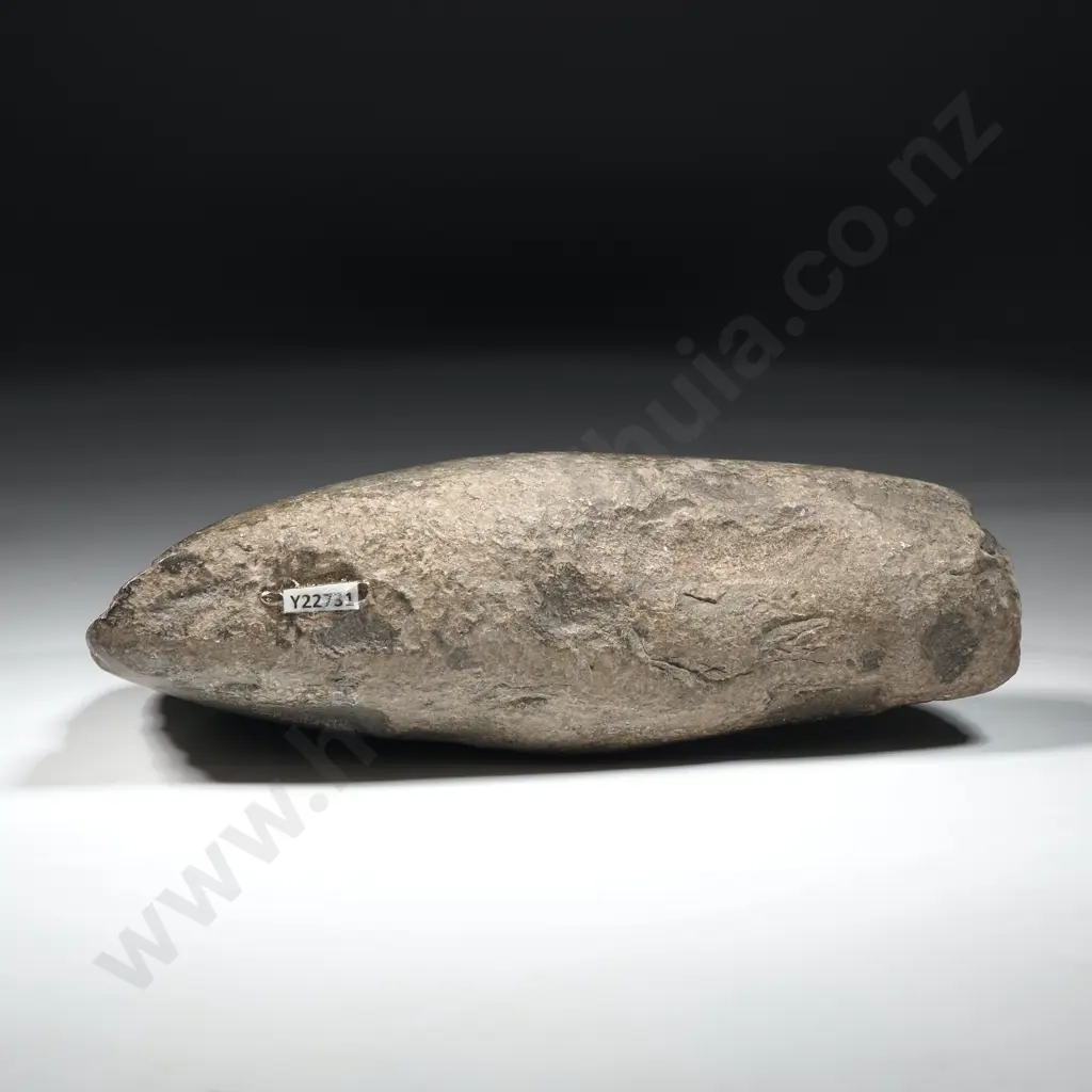 Pre-European Stone Toki - Collected in Northland, ex Radisch Collection Y22731 Image 1++