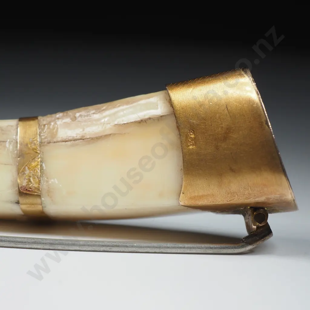 Antique New Zealand 9ct Gold Boer Tusk Brooch Image 1++