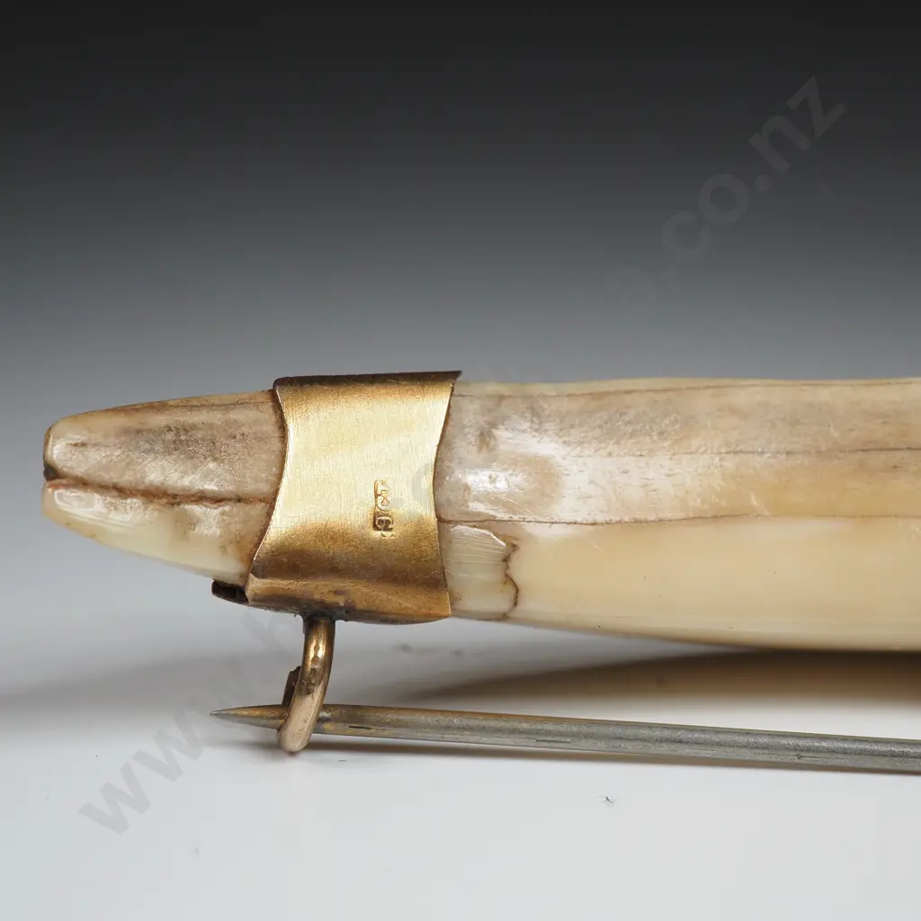 Antique New Zealand 9ct Gold Boer Tusk Brooch Image 1++