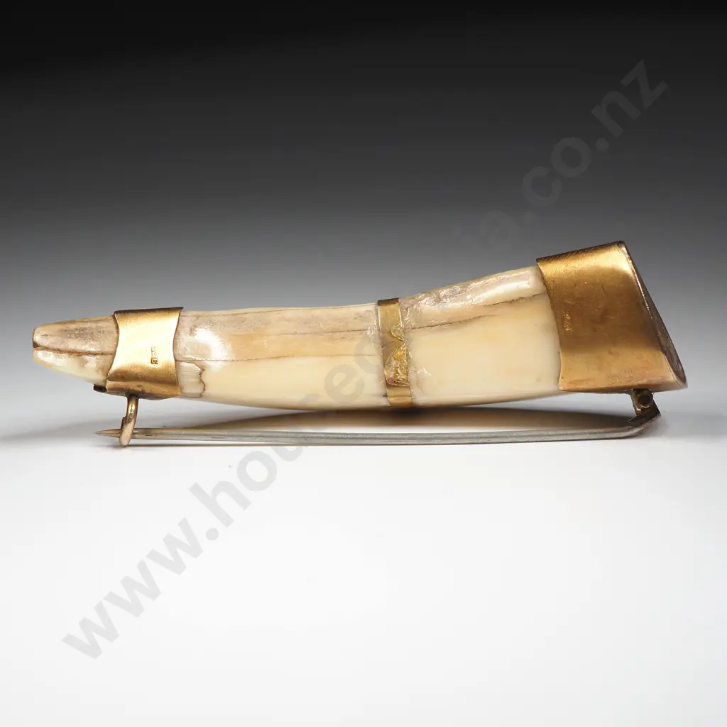 Antique New Zealand 9ct Gold Boer Tusk Brooch Image 1++