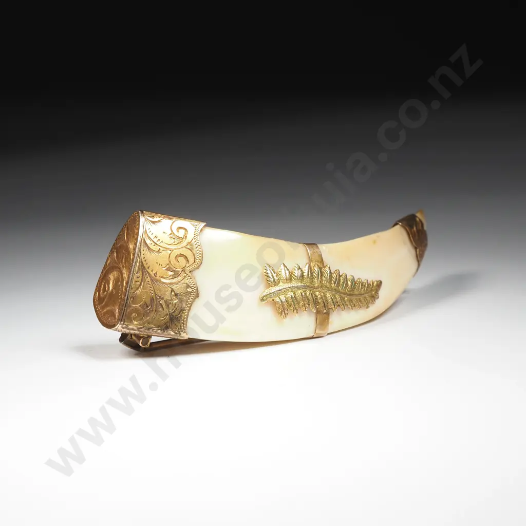 Antique New Zealand 9ct Gold Boer Tusk Brooch Image 1++