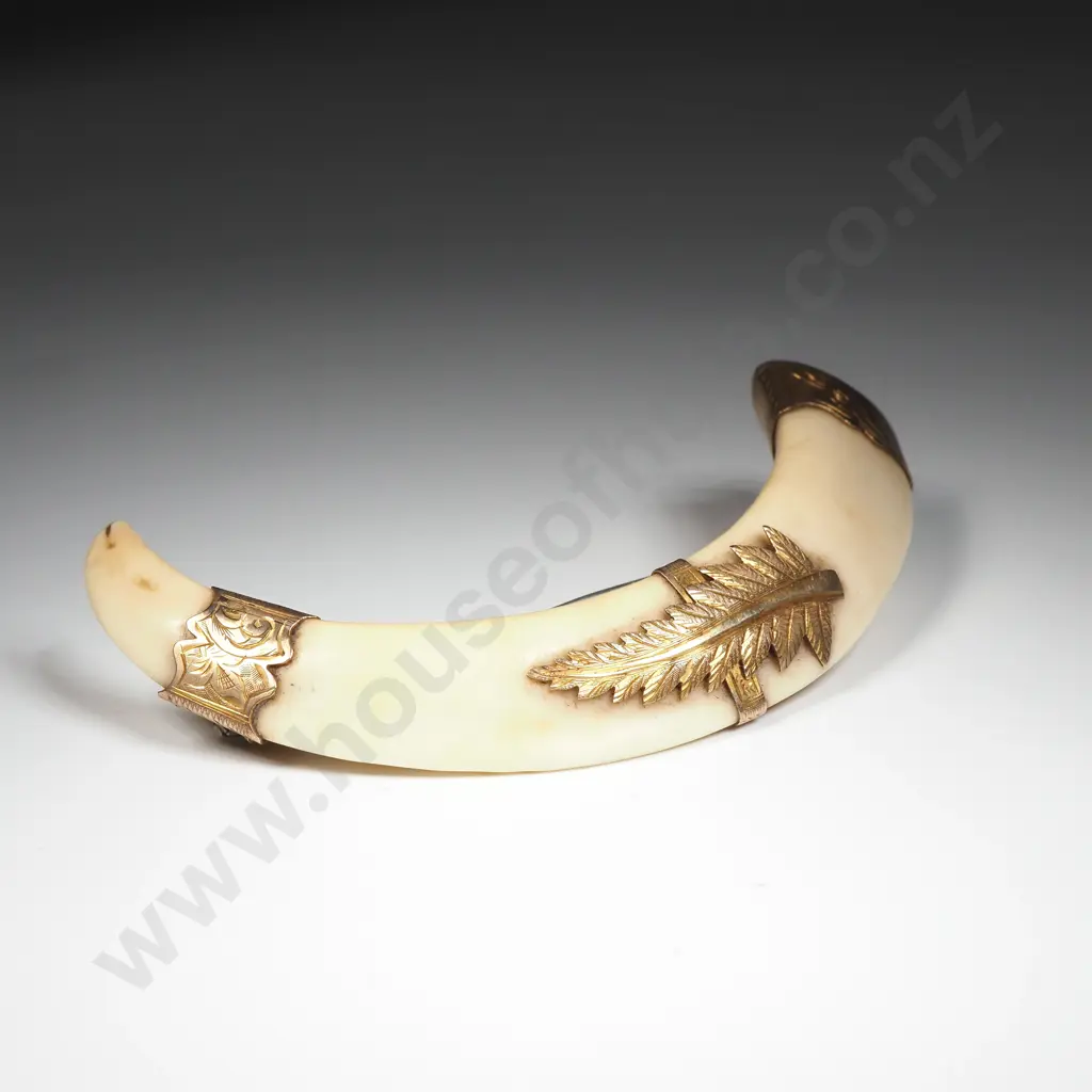 Antique New Zealand 9ct Gold Boer Tusk Brooch Image 1++