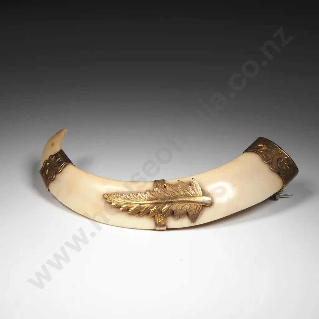 Antique New Zealand 9ct Gold Boer Tusk Brooch Image 1++