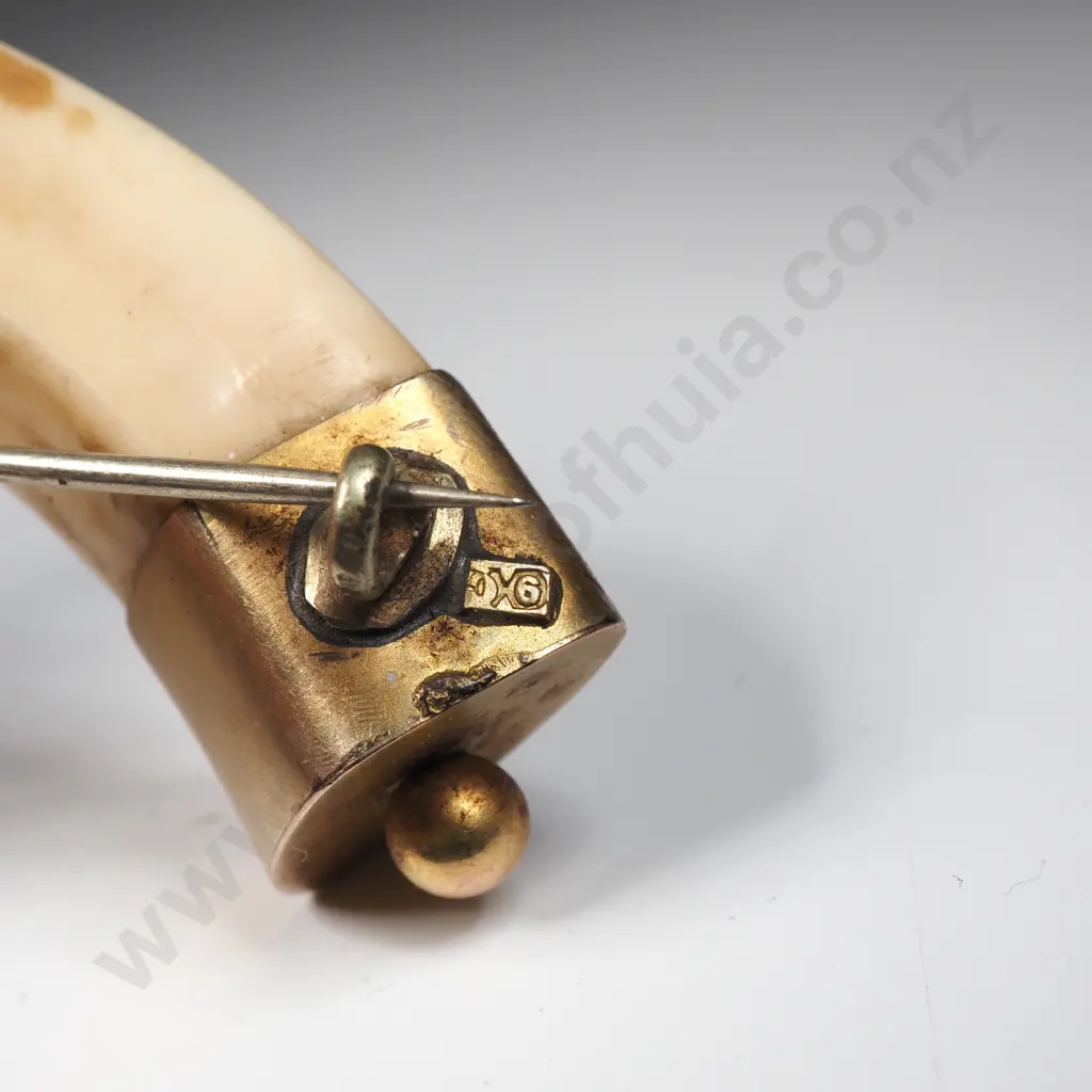 Antique New Zealand 9ct Gold Boer Tusk Brooch Image 1++