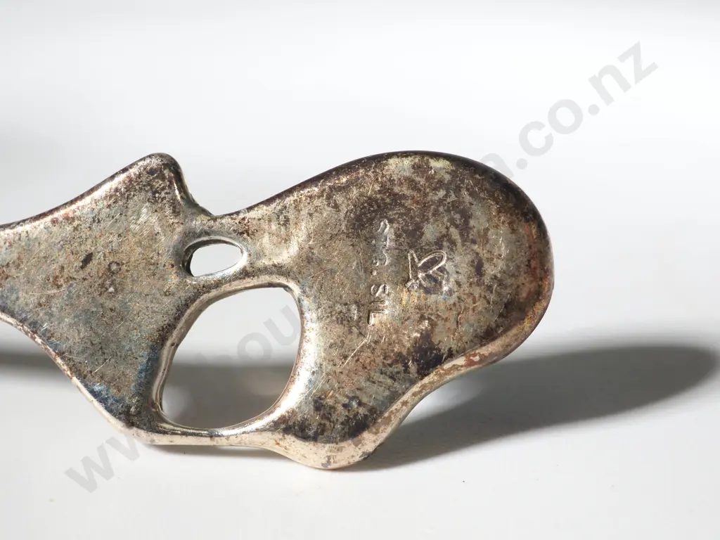 Boxed Set of Six Sterling Silver & Paua Shell Kiwi Spoons Image 1++