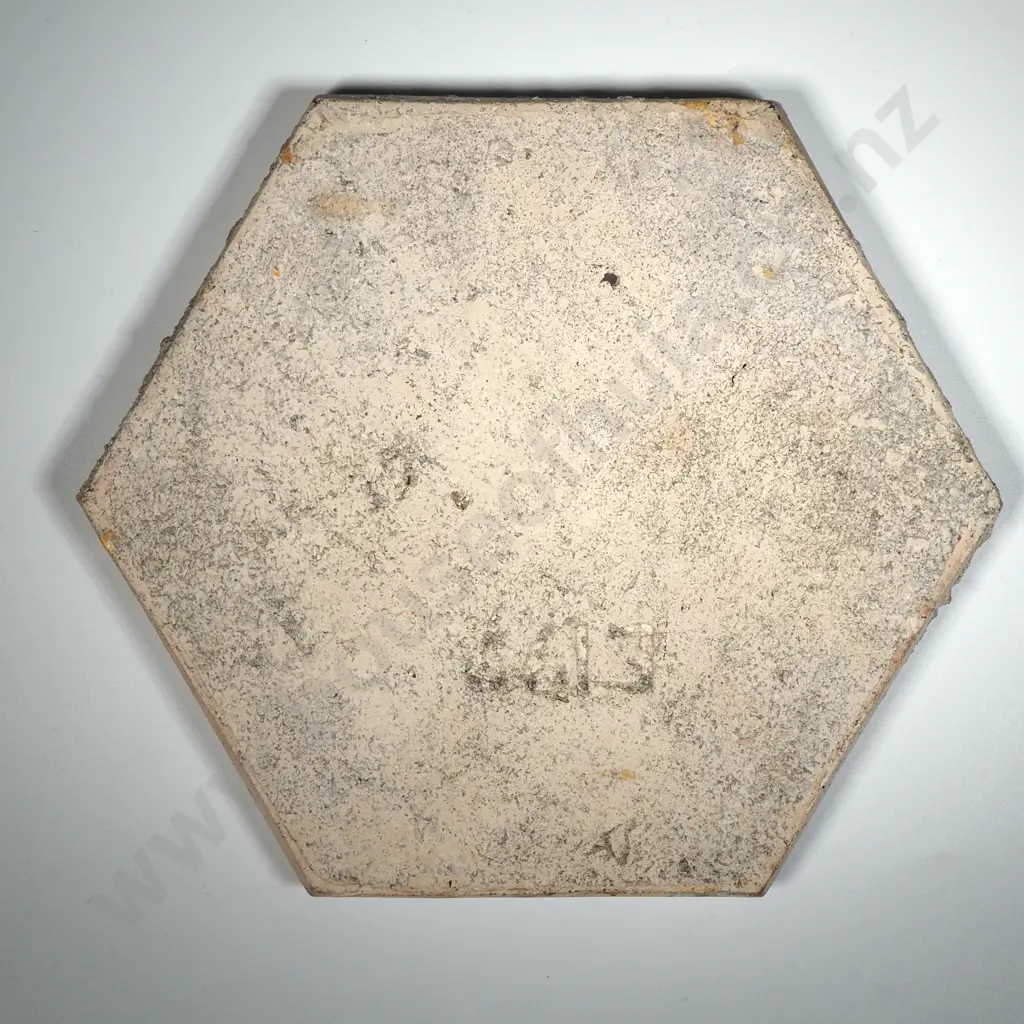 New Zealand Hexagonal Tile  Image 1++