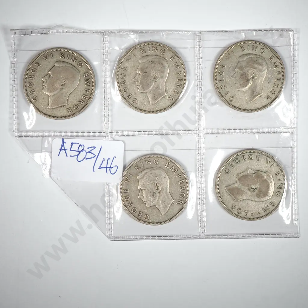 Five 1944 New Zealand Half Crowns  Image 1++