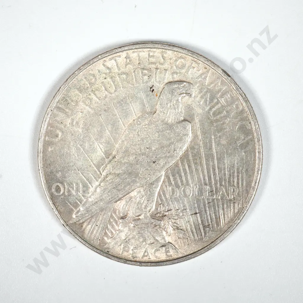 1922 United States of America Liberty Dollar Image 1++