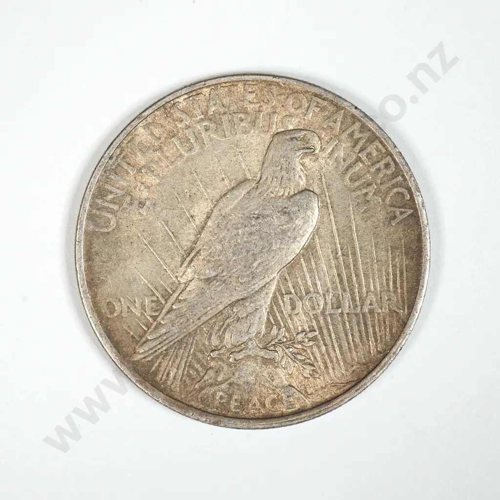 1924 United States of America Liberty Dollar Image 1++