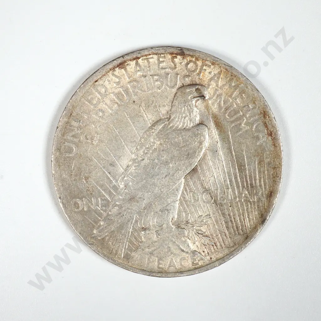 1923 United States of America Liberty Dollar Image 1++