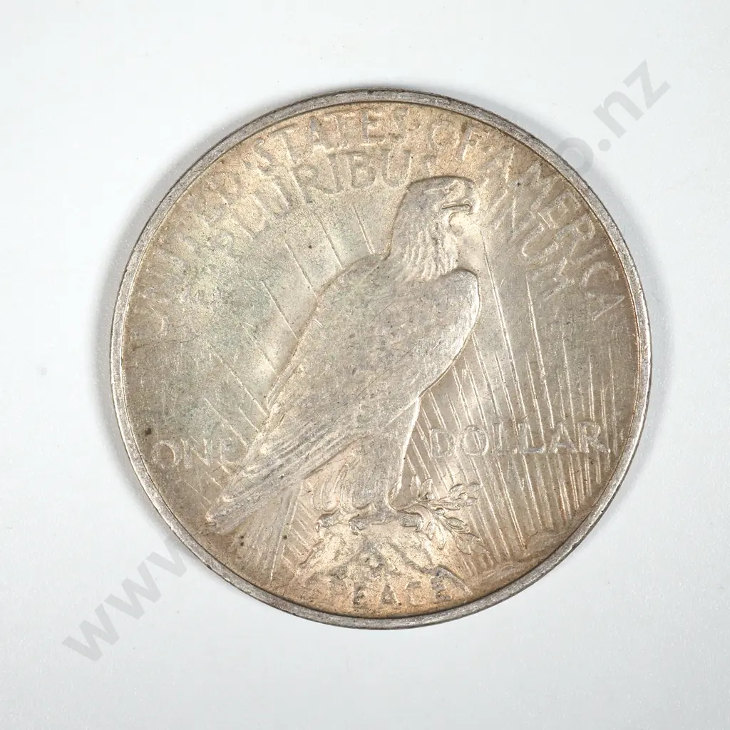 1922 United States of America Liberty Dollar Image 1++