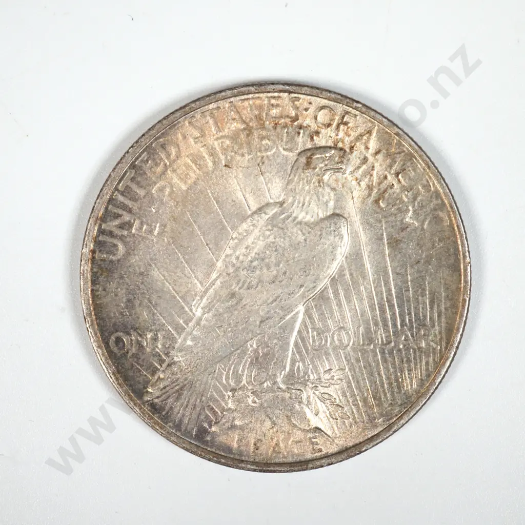 1924 United States of America Liberty Dollar Image 1++
