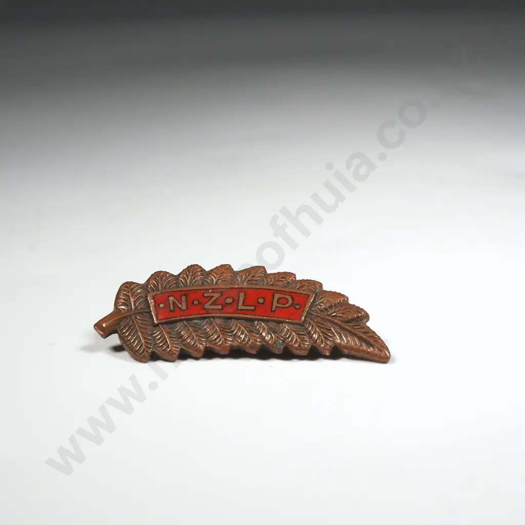 Antique New Zealand Labour Party Pin Image 1++