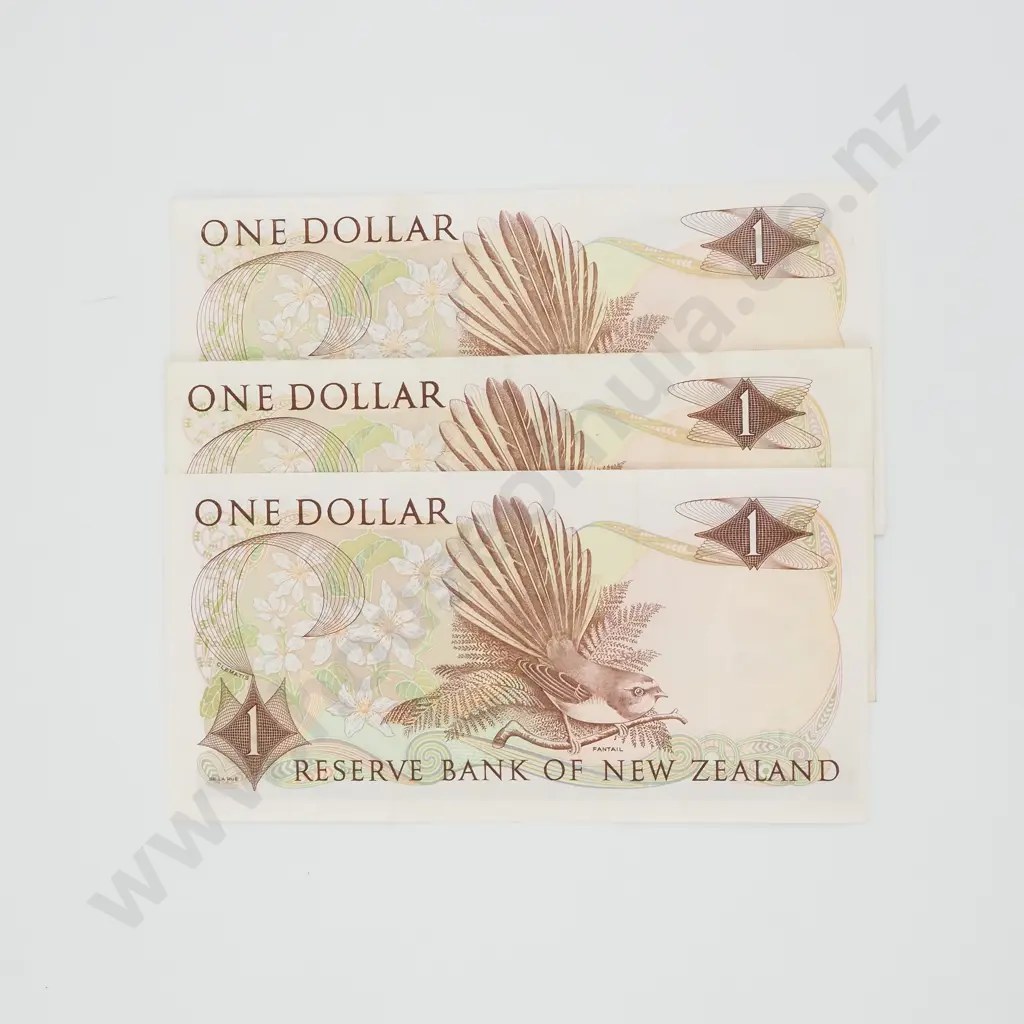 Three New Zealand Knight One Dollar Banknotes - Two Star & One Not  Image 1++