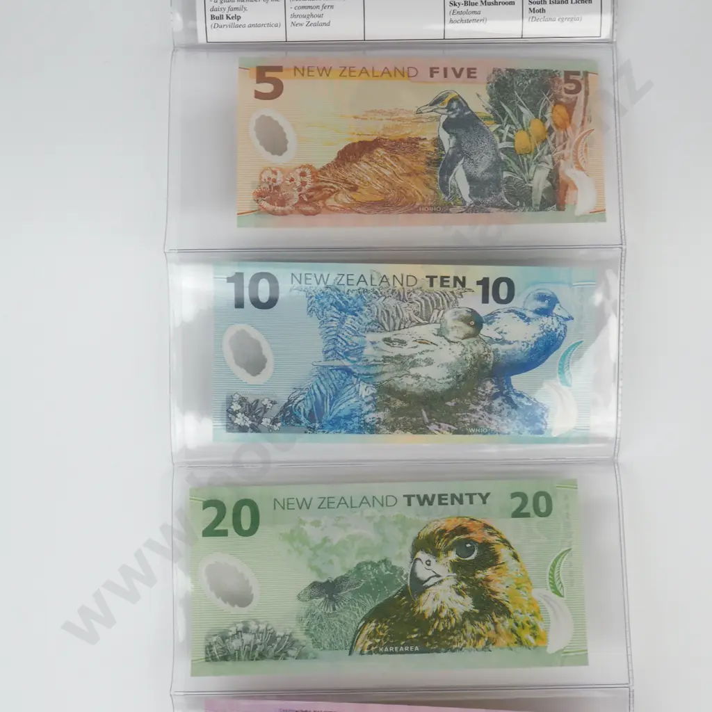 Series 6 Polymer Note Set Image 1++