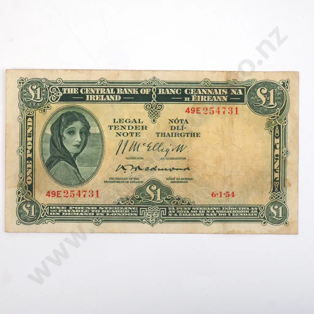Ireland One Pound  Banknote  Image 1++