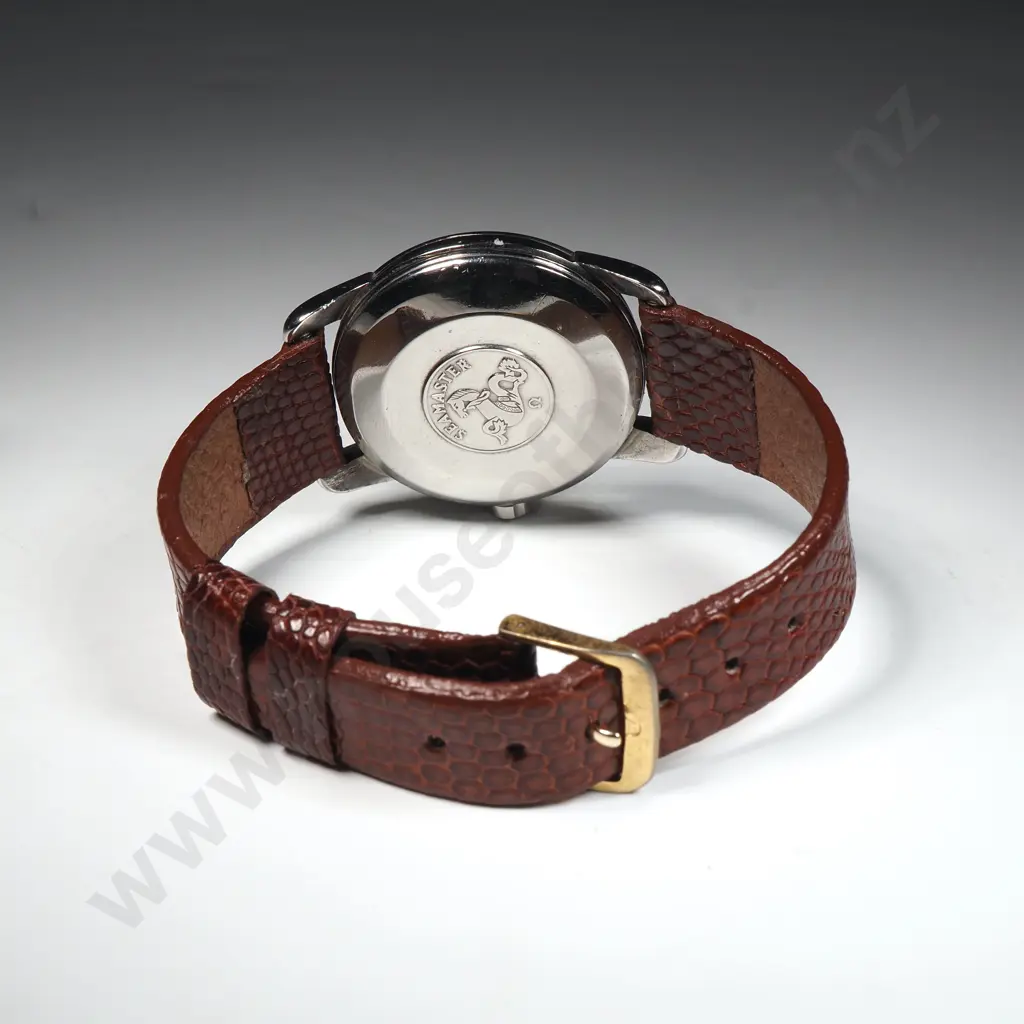 Omega Seamaster, Automatic Calendar, Circa 1960 in Stainless Steel w Snakesin Strap, Cal. 503 Ref 2849 Image 1++