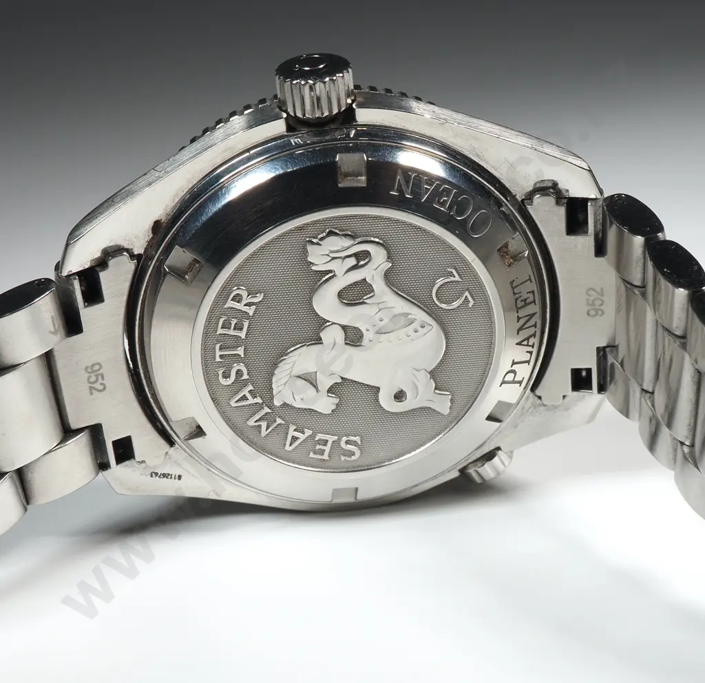 2023 Omega Planet Ocean 41mm - Box / Guarantee & Spare Links Image 1++