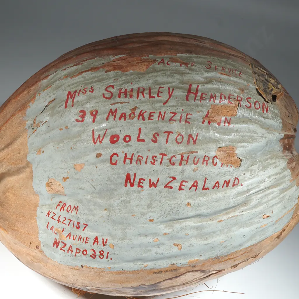 Coconut From Fiji During Active War Service  Image 1++