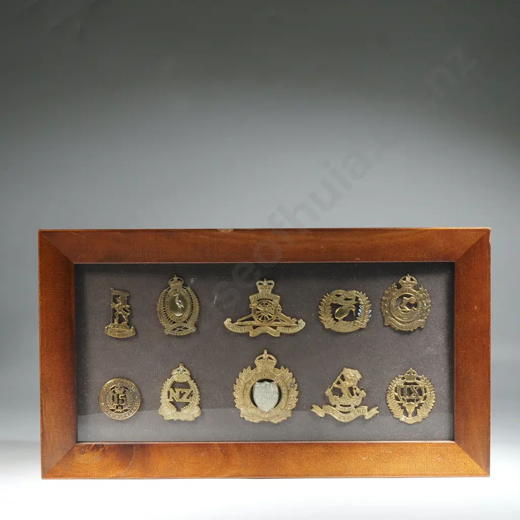 Assorted New Zealand Badges incl Reinforcement Badges  Image 1++