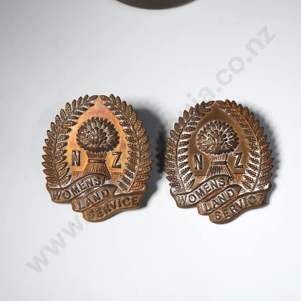 Two New Zealand Women's Land Service Badges w Matching Handbook Image 1++