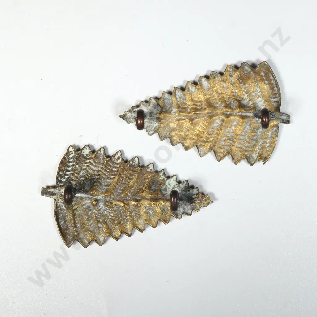 Pair of New Zealand Volunteer Period Fern Collar Badges  Image 1++