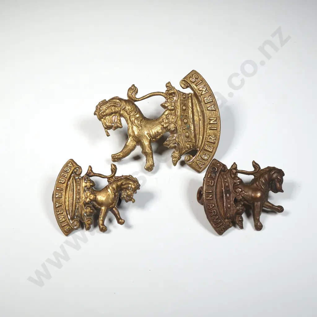 WW1 New Zealand Cap & Collar Badges  Image 1++