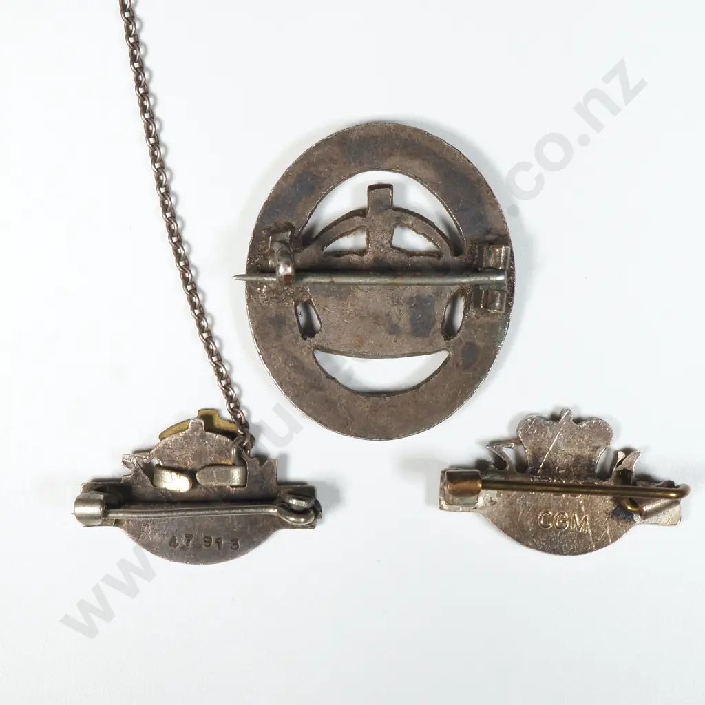 Assorted Badges incl RSA Badges  Image 1++